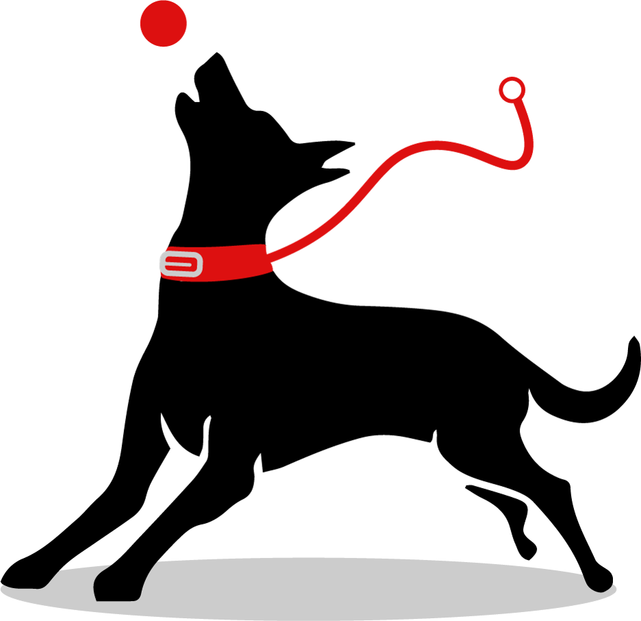 Dog Unleashed company logo